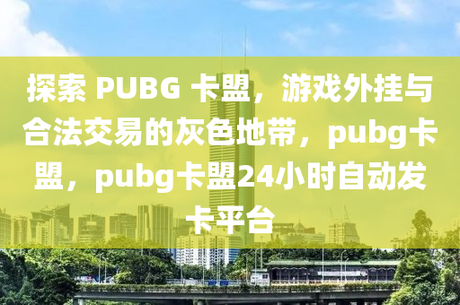探索 PUBG 卡盟，游戏外挂与合法交易的灰色地带，pubg卡盟，pubg卡盟24小时自动发卡平台