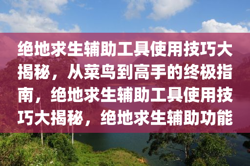 绝地求生辅助工具使用技巧大揭秘，从菜鸟到高手的终极指南，绝地求生辅助工具使用技巧大揭秘，绝地求生辅助功能