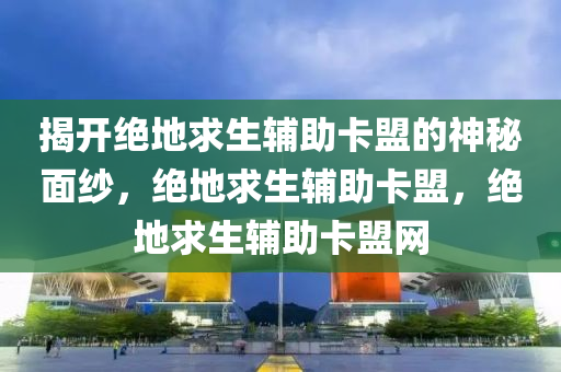 揭开绝地求生辅助卡盟的神秘面纱，绝地求生辅助卡盟，绝地求生辅助卡盟网