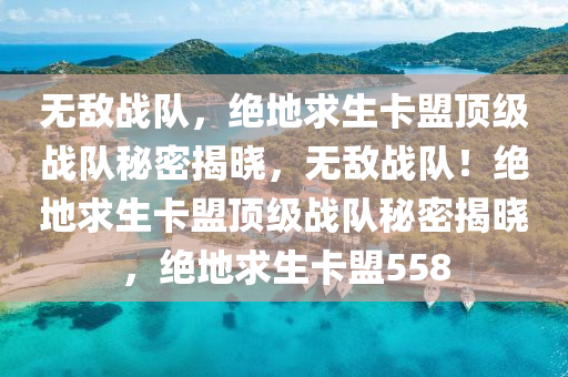 无敌战队，绝地求生卡盟顶级战队秘密揭晓，无敌战队！绝地求生卡盟顶级战队秘密揭晓，绝地求生卡盟558