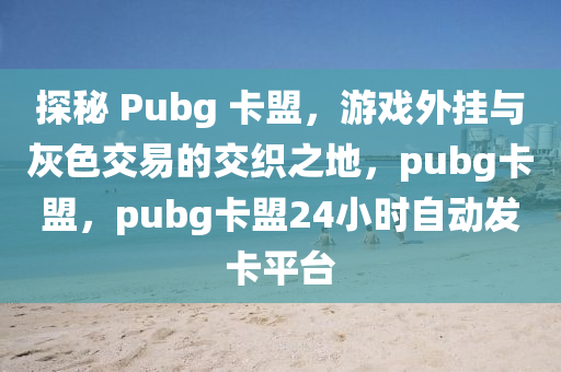 探秘 Pubg 卡盟，游戏外挂与灰色交易的交织之地，pubg卡盟，pubg卡盟24小时自动发卡平台