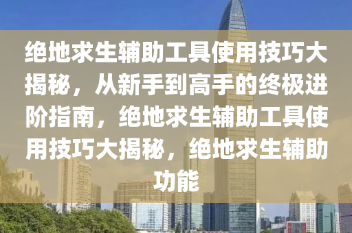 绝地求生辅助工具使用技巧大揭秘，从新手到高手的终极进阶指南，绝地求生辅助工具使用技巧大揭秘，绝地求生辅助功能