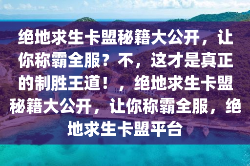 绝地求生卡盟秘籍大公开，让你称霸全服？不，这才是真正的制胜王道！，绝地求生卡盟秘籍大公开，让你称霸全服，绝地求生卡盟平台