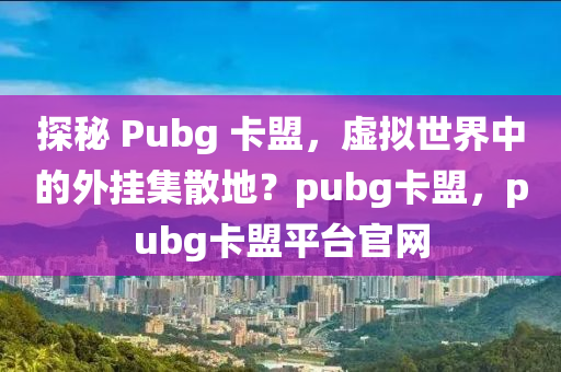 探秘 Pubg 卡盟，虚拟世界中的外挂集散地？pubg卡盟，pubg卡盟平台官网