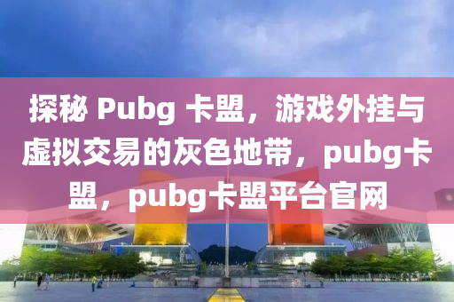 探秘 Pubg 卡盟，游戏外挂与虚拟交易的灰色地带，pubg卡盟，pubg卡盟平台官网
