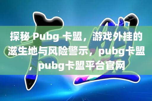 探秘 Pubg 卡盟，游戏外挂的滋生地与风险警示，pubg卡盟，pubg卡盟平台官网