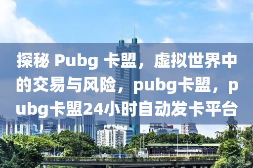 探秘 Pubg 卡盟，虚拟世界中的交易与风险，pubg卡盟，pubg卡盟24小时自动发卡平台