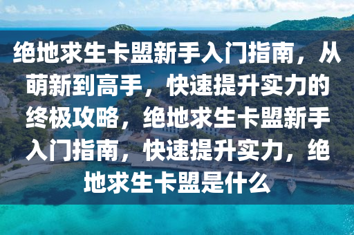 绝地求生卡盟新手入门指南，从萌新到高手，快速提升实力的终极攻略，绝地求生卡盟新手入门指南，快速提升实力，绝地求生卡盟是什么