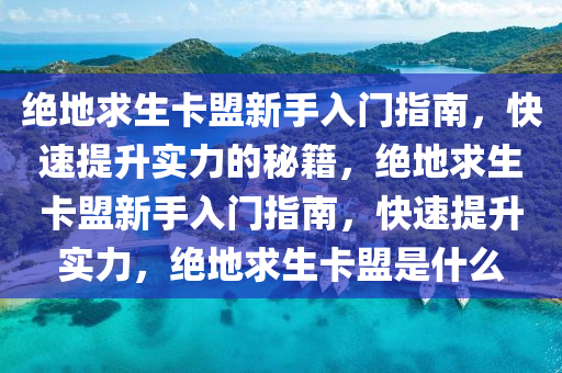 绝地求生卡盟新手入门指南，快速提升实力的秘籍，绝地求生卡盟新手入门指南，快速提升实力，绝地求生卡盟是什么
