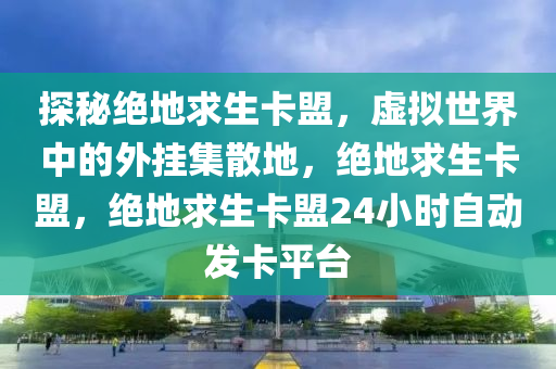 探秘绝地求生卡盟，虚拟世界中的外挂集散地，绝地求生卡盟，绝地求生卡盟24小时自动发卡平台