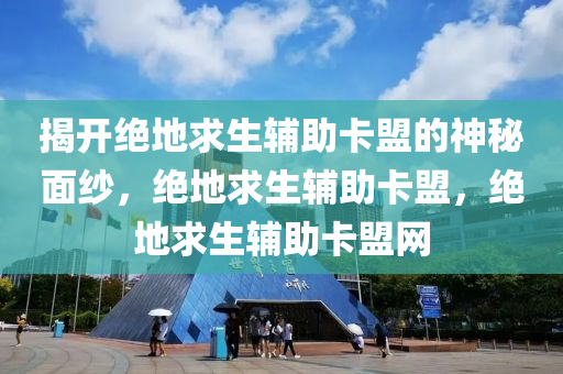 揭开绝地求生辅助卡盟的神秘面纱，绝地求生辅助卡盟，绝地求生辅助卡盟网