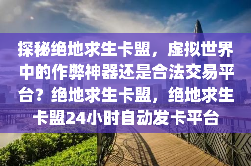 探秘绝地求生卡盟，虚拟世界中的作弊神器还是合法交易平台？绝地求生卡盟，绝地求生卡盟24小时自动发卡平台