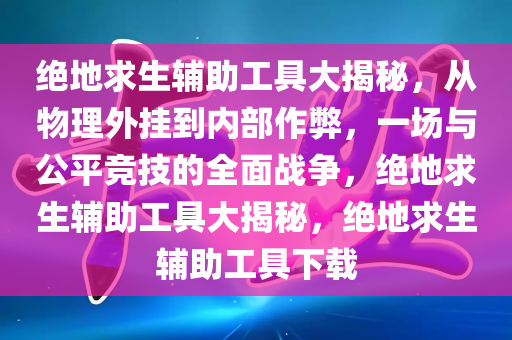 绝地求生辅助工具大揭秘，从物理外挂到内部作弊，一场与公平竞技的全面战争，绝地求生辅助工具大揭秘，绝地求生辅助工具下载