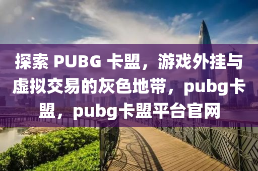 探索 PUBG 卡盟，游戏外挂与虚拟交易的灰色地带，pubg卡盟，pubg卡盟平台官网