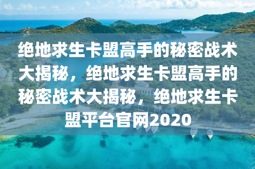 绝地求生卡盟高手的秘密战术大揭秘，绝地求生卡盟高手的秘密战术大揭秘，绝地求生卡盟平台官网2020