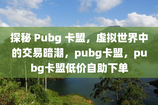 探秘 Pubg 卡盟，虚拟世界中的交易暗潮，pubg卡盟，pubg卡盟低价自助下单