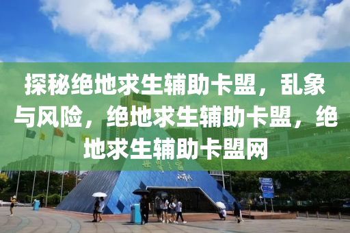探秘绝地求生辅助卡盟，乱象与风险，绝地求生辅助卡盟，绝地求生辅助卡盟网