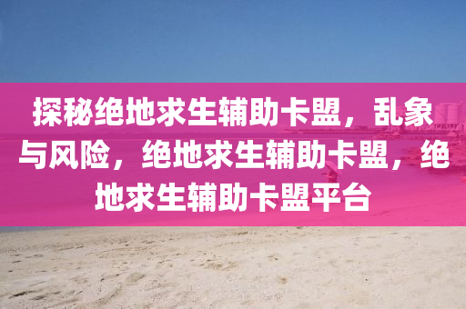探秘绝地求生辅助卡盟，乱象与风险，绝地求生辅助卡盟，绝地求生辅助卡盟平台