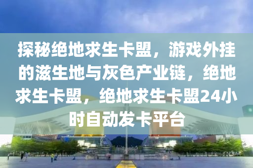 探秘绝地求生卡盟，游戏外挂的滋生地与灰色产业链，绝地求生卡盟，绝地求生卡盟24小时自动发卡平台