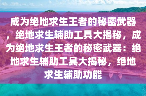 成为绝地求生王者的秘密武器，绝地求生辅助工具大揭秘，成为绝地求生王者的秘密武器：绝地求生辅助工具大揭秘，绝地求生辅助功能