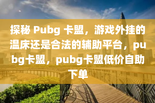 探秘 Pubg 卡盟，游戏外挂的温床还是合法的辅助平台，pubg卡盟，pubg卡盟低价自助下单