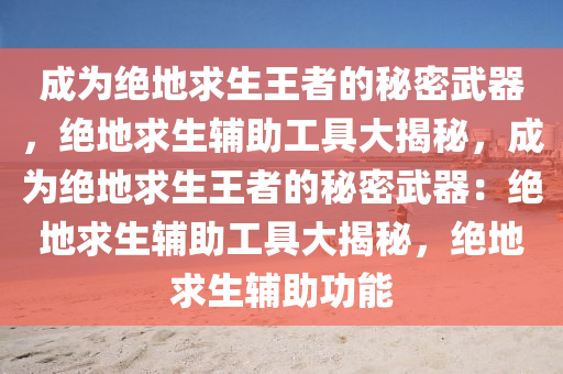 成为绝地求生王者的秘密武器，绝地求生辅助工具大揭秘，成为绝地求生王者的秘密武器：绝地求生辅助工具大揭秘，绝地求生辅助功能