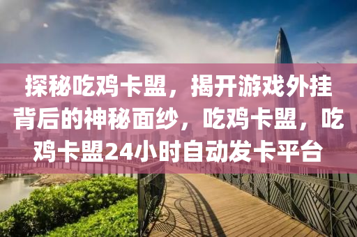 探秘吃鸡卡盟，揭开游戏外挂背后的神秘面纱，吃鸡卡盟，吃鸡卡盟24小时自动发卡平台