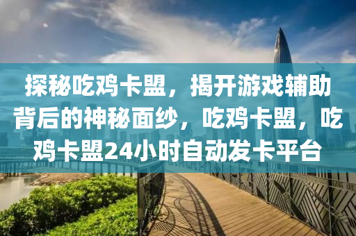 探秘吃鸡卡盟，揭开游戏辅助背后的神秘面纱，吃鸡卡盟，吃鸡卡盟24小时自动发卡平台