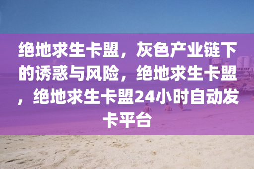 绝地求生卡盟，灰色产业链下的诱惑与风险，绝地求生卡盟，绝地求生卡盟24小时自动发卡平台