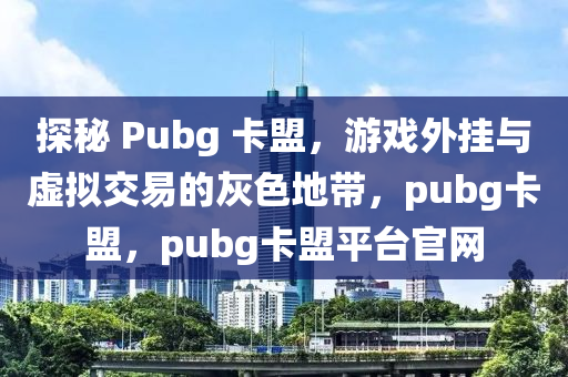 探秘 Pubg 卡盟，游戏外挂与虚拟交易的灰色地带，pubg卡盟，pubg卡盟平台官网