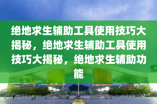 绝地求生辅助工具使用技巧大揭秘，绝地求生辅助工具使用技巧大揭秘，绝地求生辅助功能