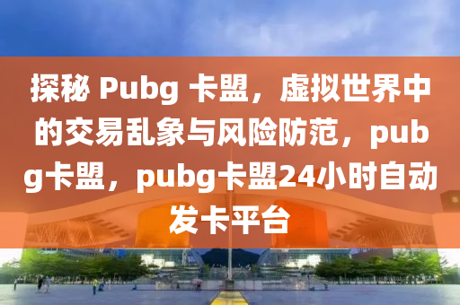 探秘 Pubg 卡盟，虚拟世界中的交易乱象与风险防范，pubg卡盟，pubg卡盟24小时自动发卡平台