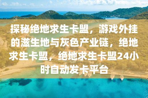 探秘绝地求生卡盟，游戏外挂的滋生地与灰色产业链，绝地求生卡盟，绝地求生卡盟24小时自动发卡平台