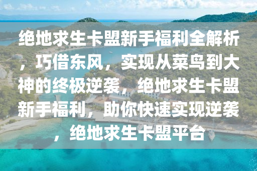 绝地求生卡盟新手福利全解析，巧借东风，实现从菜鸟到大神的终极逆袭，绝地求生卡盟新手福利，助你快速实现逆袭，绝地求生卡盟平台