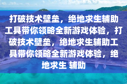 打破技术壁垒，绝地求生辅助工具带你领略全新游戏体验，打破技术壁垒，绝地求生辅助工具带你领略全新游戏体验，绝地求生 辅助