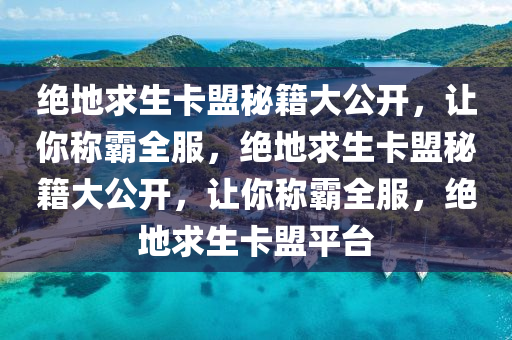 绝地求生卡盟秘籍大公开，让你称霸全服，绝地求生卡盟秘籍大公开，让你称霸全服，绝地求生卡盟平台