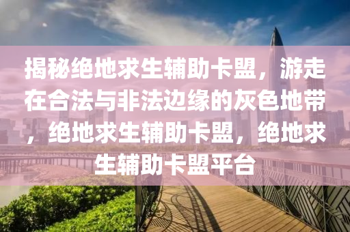 揭秘绝地求生辅助卡盟，游走在合法与非法边缘的灰色地带，绝地求生辅助卡盟，绝地求生辅助卡盟平台