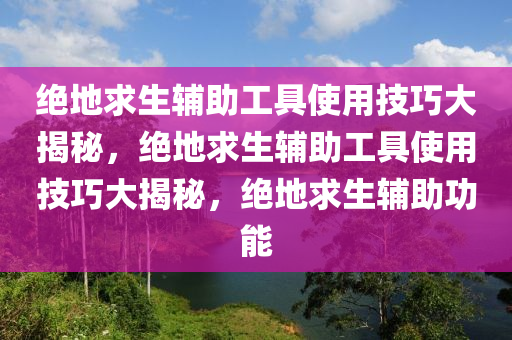 绝地求生辅助工具使用技巧大揭秘，绝地求生辅助工具使用技巧大揭秘，绝地求生辅助功能