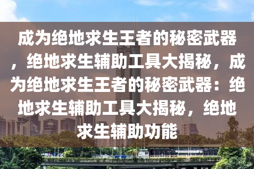 成为绝地求生王者的秘密武器，绝地求生辅助工具大揭秘，成为绝地求生王者的秘密武器：绝地求生辅助工具大揭秘，绝地求生辅助功能