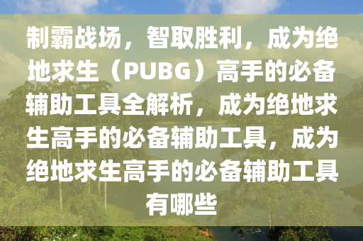 制霸战场，智取胜利，成为绝地求生（PUBG）高手的必备辅助工具全解析，成为绝地求生高手的必备辅助工具，成为绝地求生高手的必备辅助工具有哪些