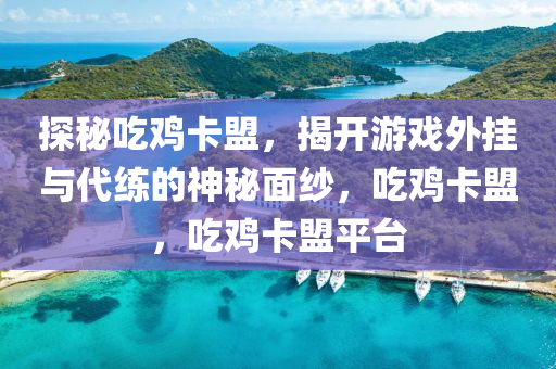 探秘吃鸡卡盟，揭开游戏外挂与代练的神秘面纱，吃鸡卡盟，吃鸡卡盟平台