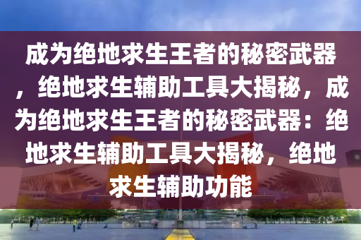 成为绝地求生王者的秘密武器，绝地求生辅助工具大揭秘，成为绝地求生王者的秘密武器：绝地求生辅助工具大揭秘，绝地求生辅助功能