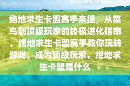 绝地求生卡盟高手亲授，从菜鸟到顶级玩家的终极进化指南，绝地求生卡盟高手教你玩转游戏，成为顶级玩家，绝地求生卡盟是什么
