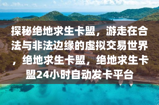 探秘绝地求生卡盟，游走在合法与非法边缘的虚拟交易世界，绝地求生卡盟，绝地求生卡盟24小时自动发卡平台