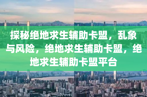 探秘绝地求生辅助卡盟，乱象与风险，绝地求生辅助卡盟，绝地求生辅助卡盟平台