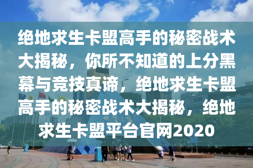 绝地求生卡盟高手的秘密战术大揭秘，你所不知道的上分黑幕与竞技真谛，绝地求生卡盟高手的秘密战术大揭秘，绝地求生卡盟平台官网2020