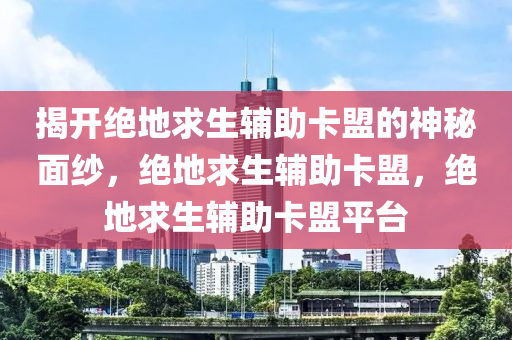 揭开绝地求生辅助卡盟的神秘面纱，绝地求生辅助卡盟，绝地求生辅助卡盟平台