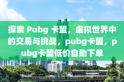 探索 Pubg 卡盟，虚拟世界中的交易与挑战，pubg卡盟，pubg卡盟低价自助下单