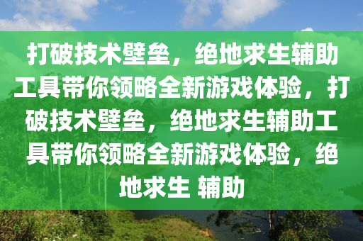 打破技术壁垒，绝地求生辅助工具带你领略全新游戏体验，打破技术壁垒，绝地求生辅助工具带你领略全新游戏体验，绝地求生 辅助