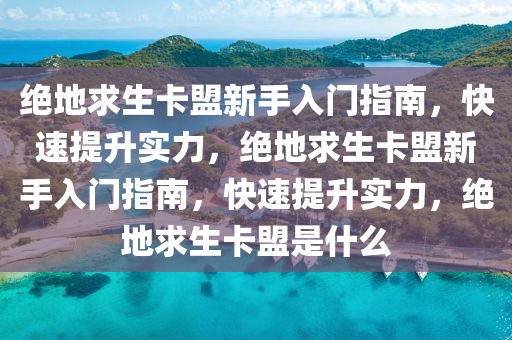 绝地求生卡盟新手入门指南，快速提升实力，绝地求生卡盟新手入门指南，快速提升实力，绝地求生卡盟是什么